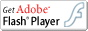 FlashPlayer̃_E[h